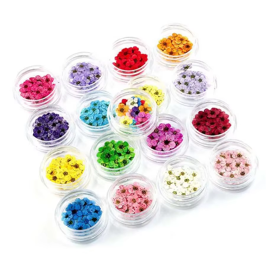 250 pièces Mini pressé séché Narcisse Jonquilla fleur plante herbier pour résine époxy bijoux signet carte postale Nailart bricolage
