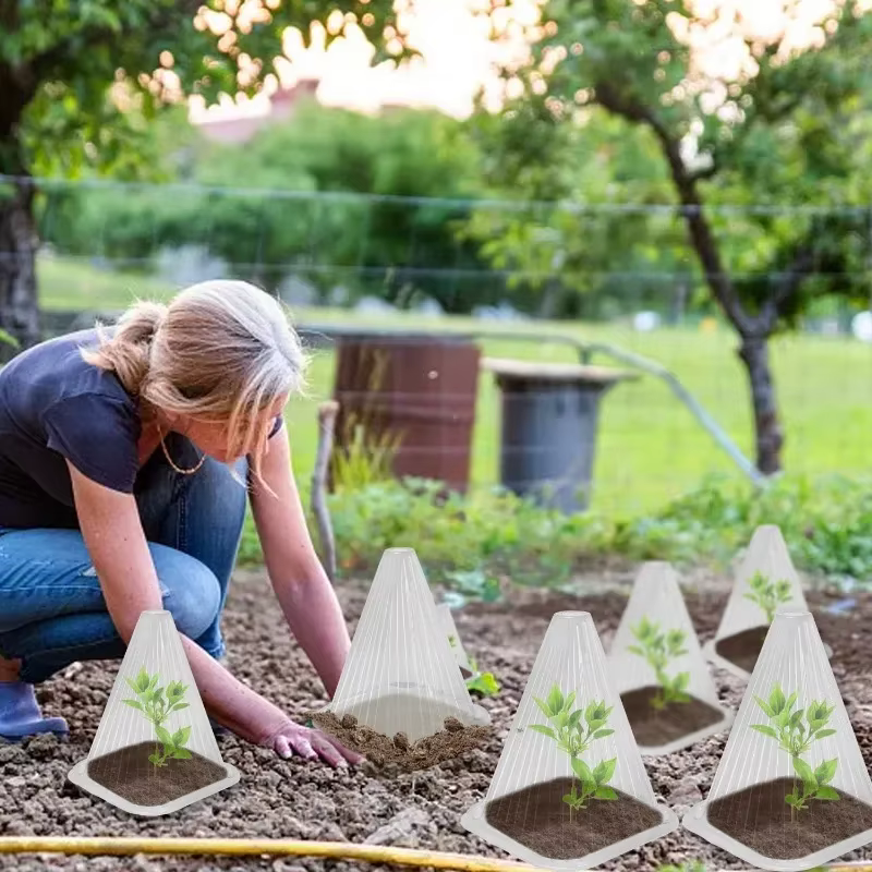 Couvercle de protection pour plantes