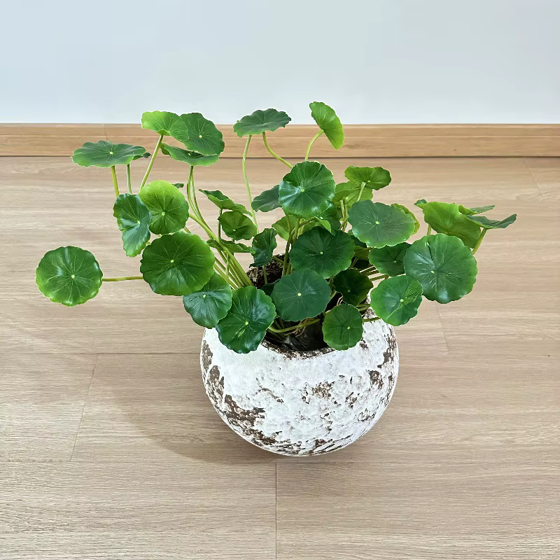 2 pièces de feuilles artificielles de Pilea Peperomioides