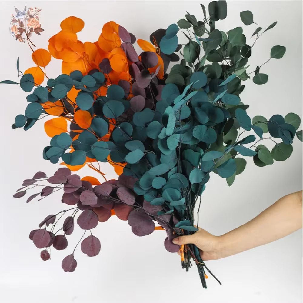 Bouquet de feuilles d'eucalyptus conservées
