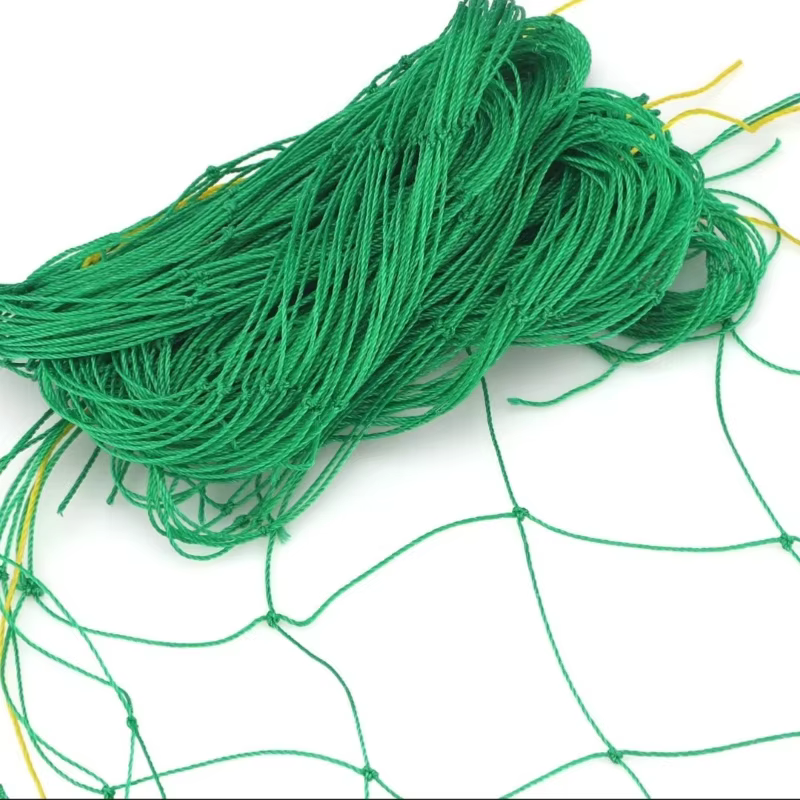 Filet de grimpement robuste en polyester pour plantes