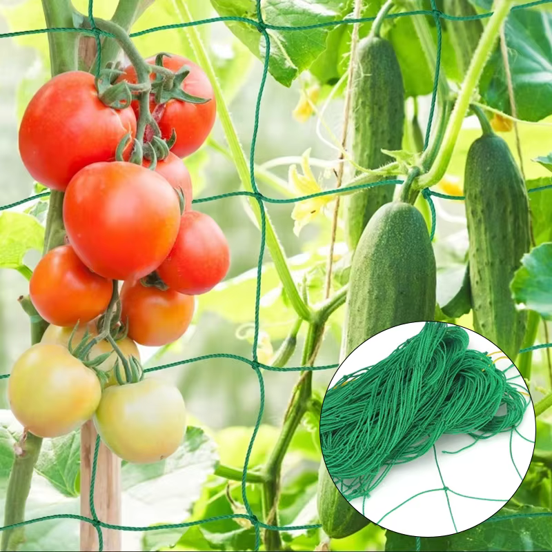 Nouvelle treillis de plantes robuste en polyester et nylon