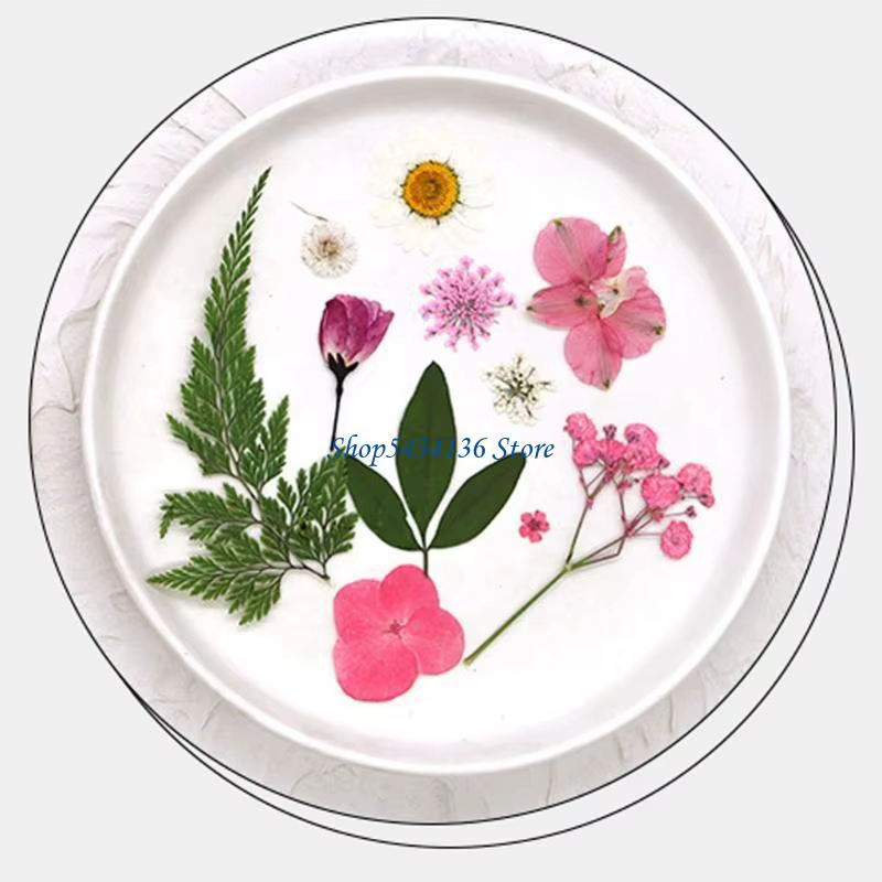 Fleur séchée pressée H7 pour moule en résine Feuilles fleurs séchées pressées naturelles pour le feuillette scrapbooking