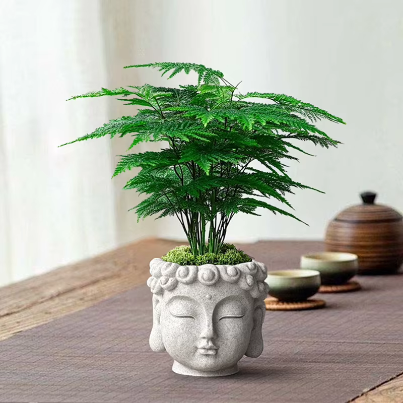 Nouveau pot de fleurs zen créatif en forme de tête de Bouddha