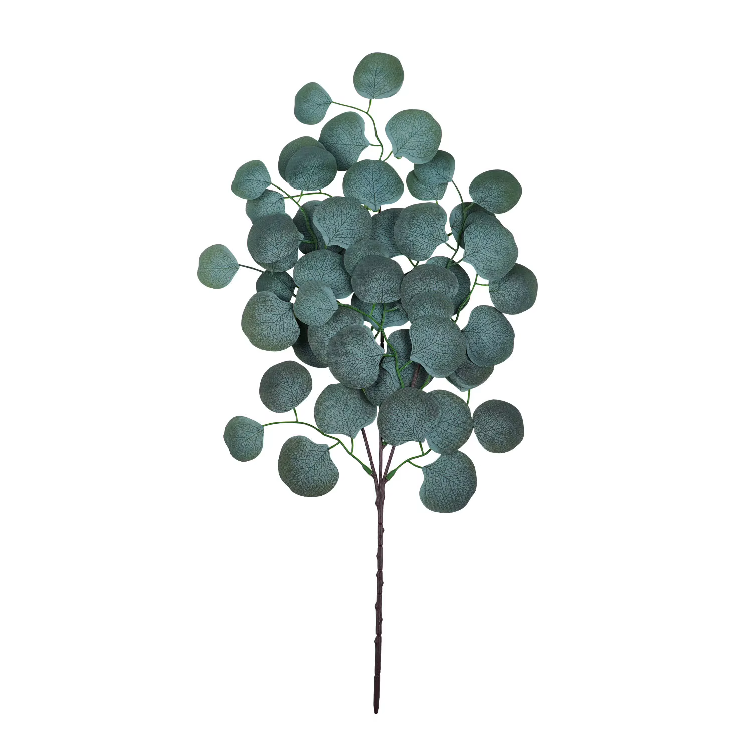 Plantes artificielles de vigne en feuille d'eucalyptus