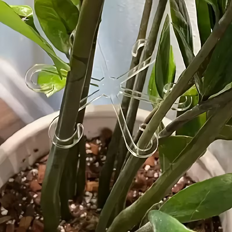 4 supports pliables anti-inclinaison pour plantes