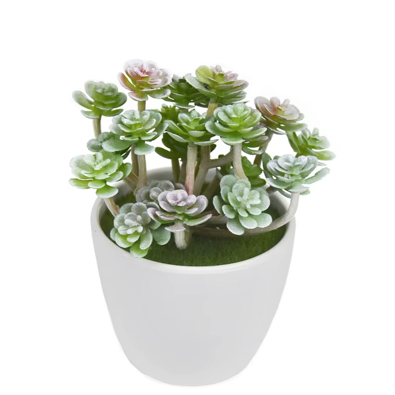 12 pièces de plantes succulentes artificielles en plastique