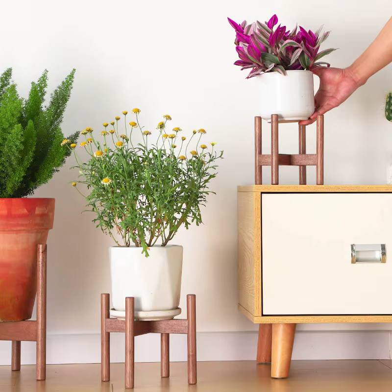 Support pour plantes en bois massif