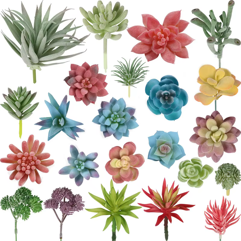Plantes succulentes artificielles sans pot