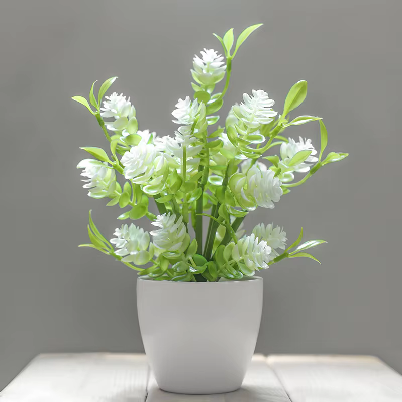 Simulation de plantes en pot