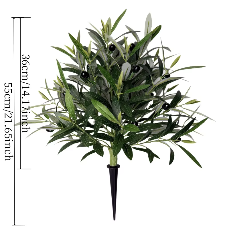 Plante d'olivier de printemps