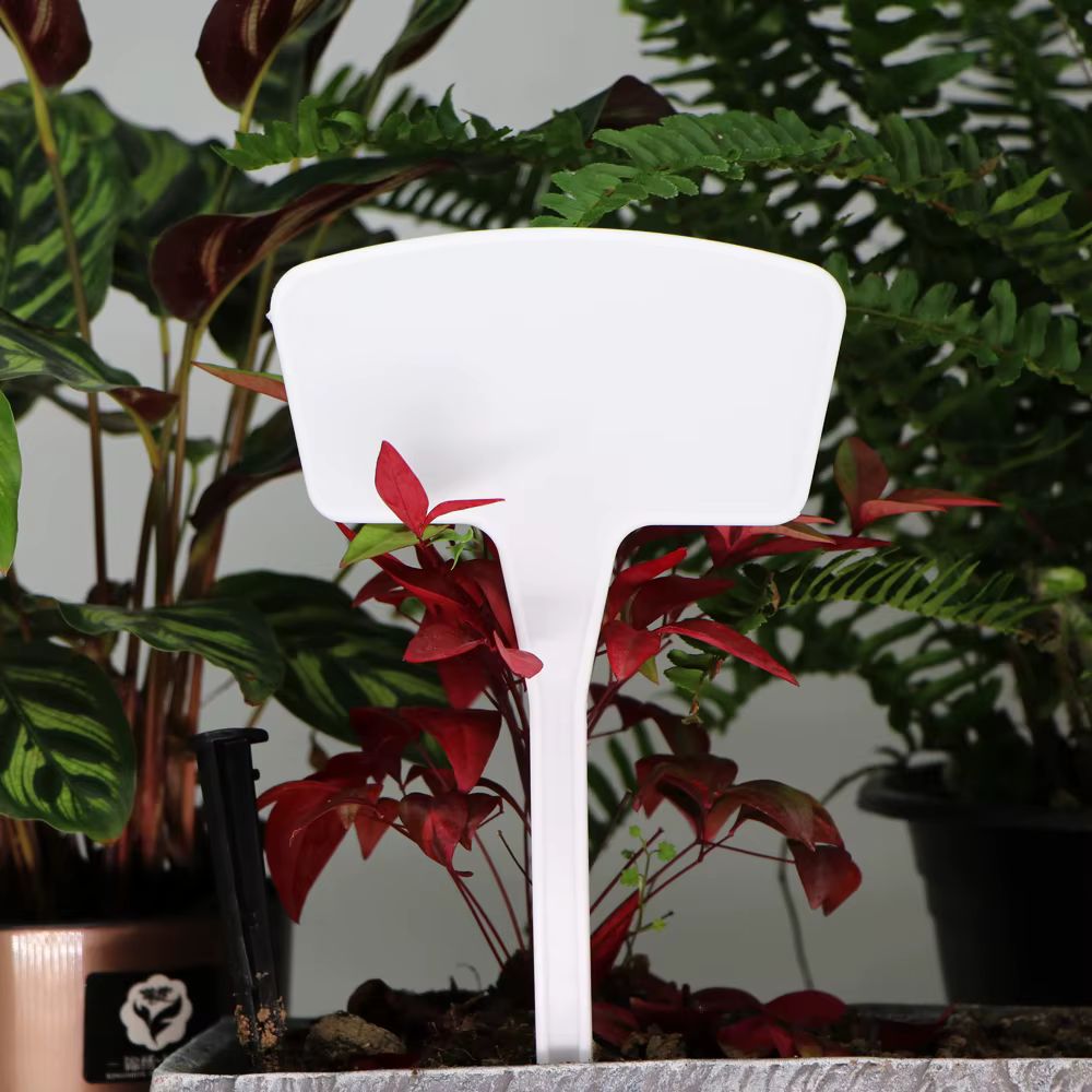 Étiquettes de plantes blanches de type T