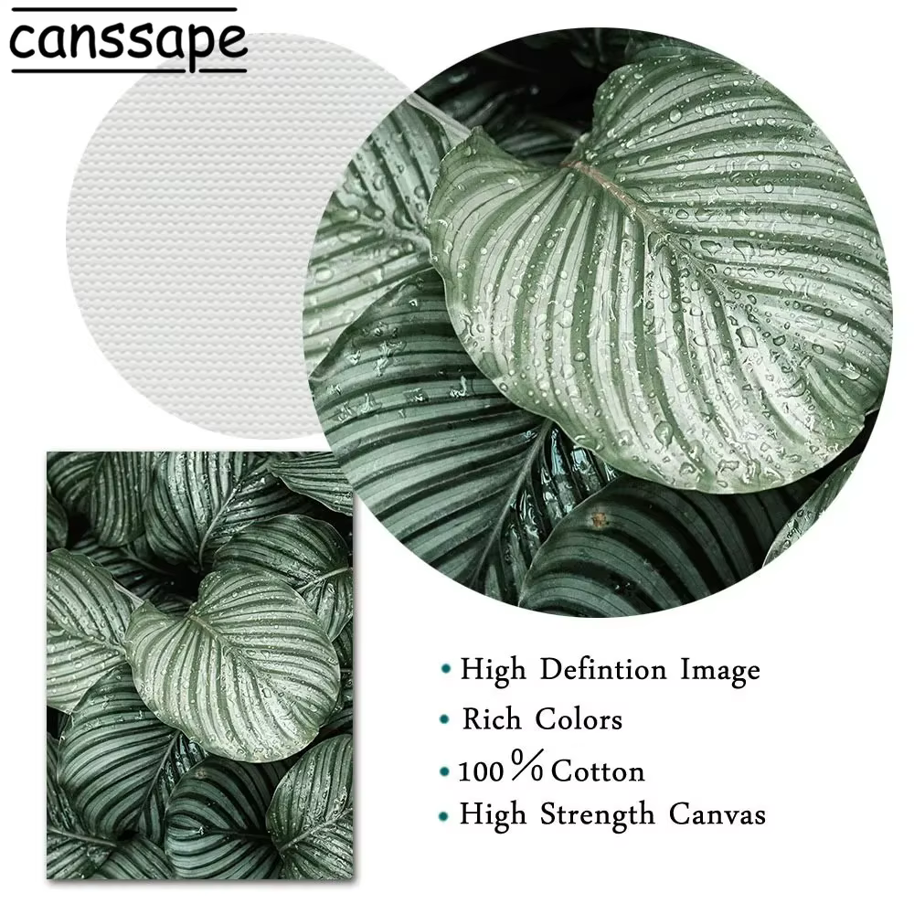 Affiches de plantes succulentes, peinture sur toile de feuilles de plantes vertes, décoration murale nordique, décor de salon, impression d'art mural naturel