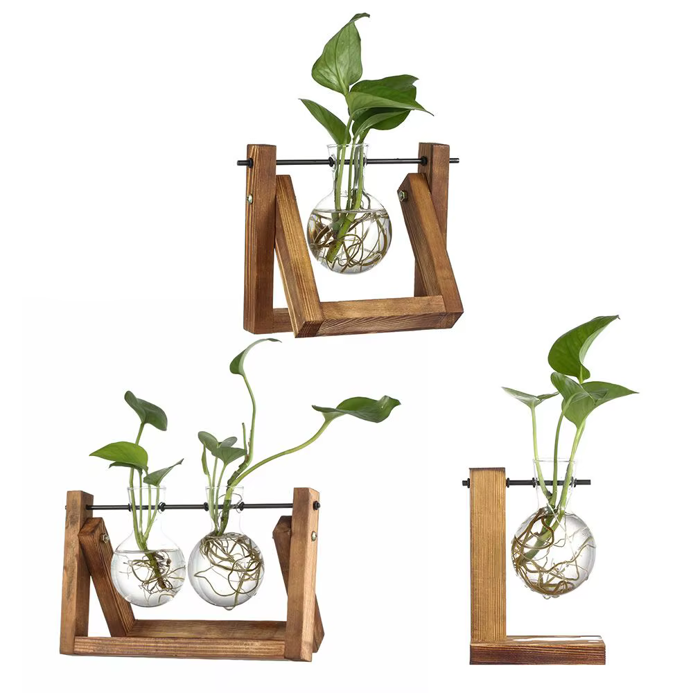 Jardinière de bonsaï de décoration