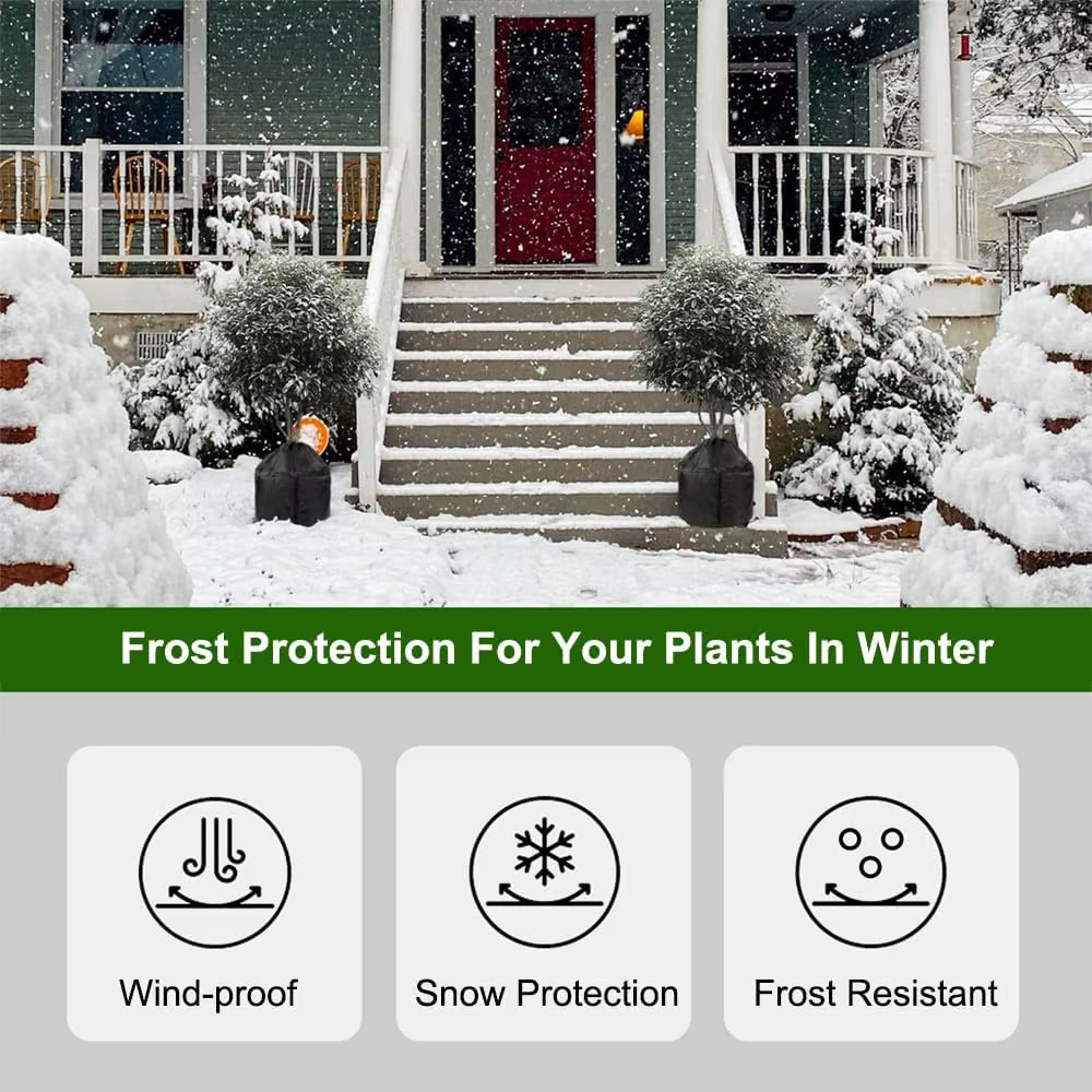 Couverture de plantes d'hiver
