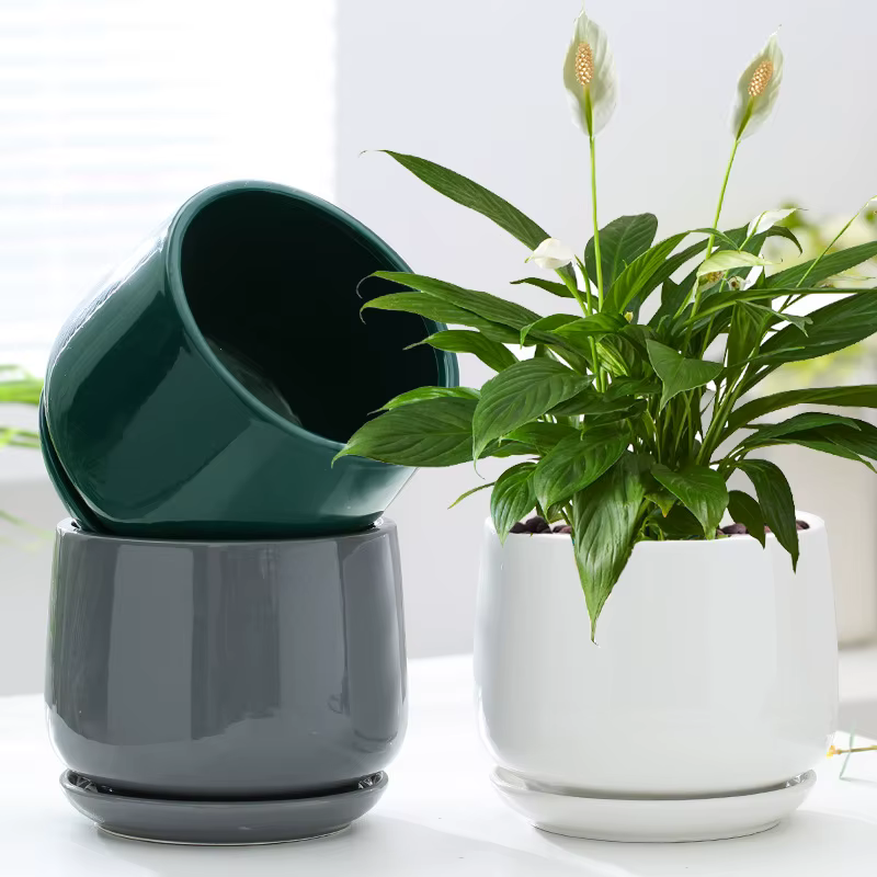 Pot de fleurs créatif en céramique