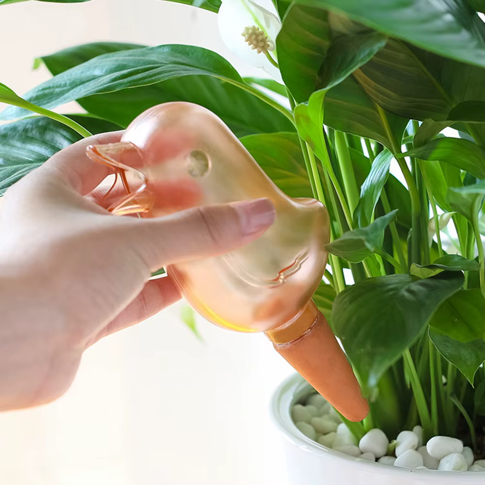 Arrosage automatique des plantes