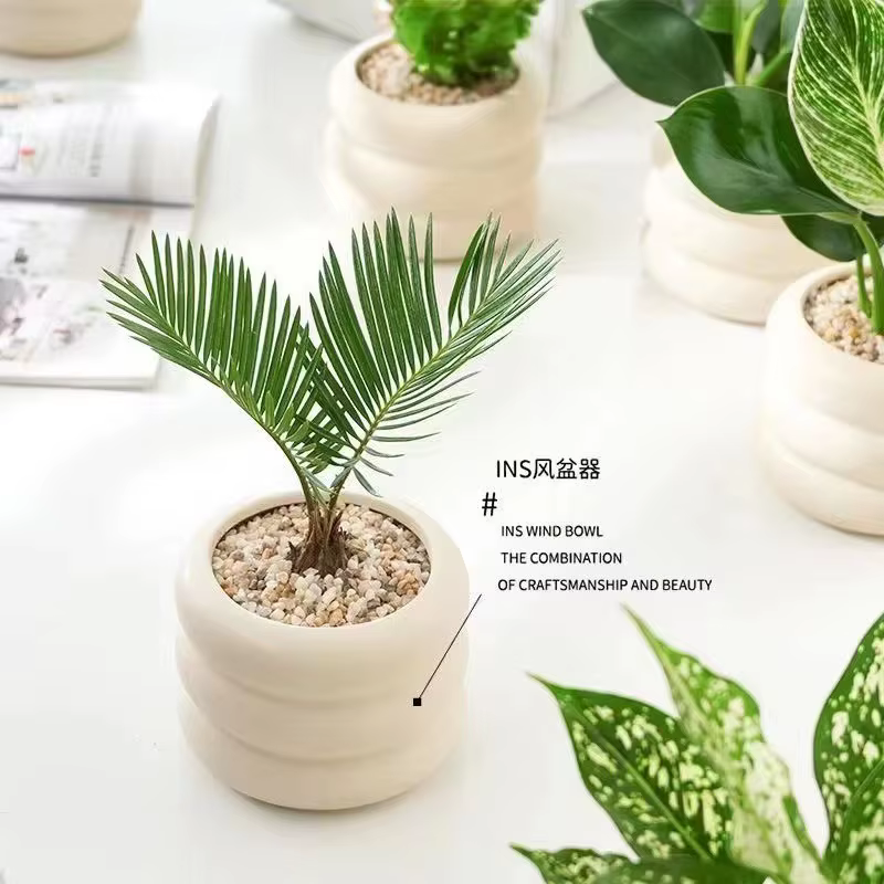 Pot de fleurs en céramique pour bureau