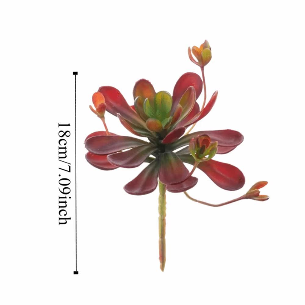 Plante succulente artificielle réaliste au toucher authentique