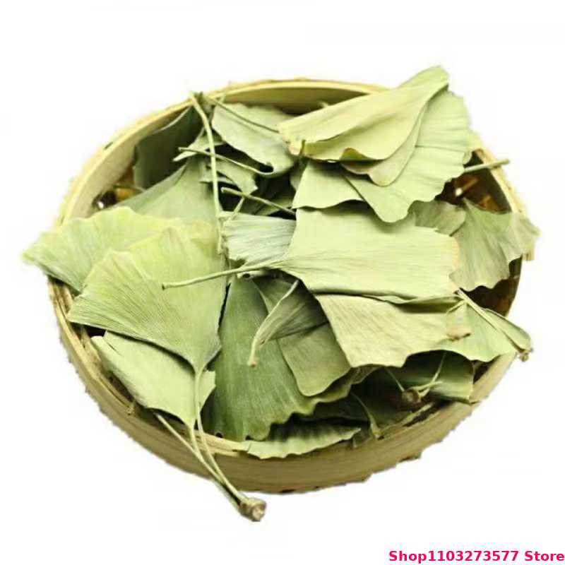 Feuilles séchées de Ginkgo Biloba de haute qualité