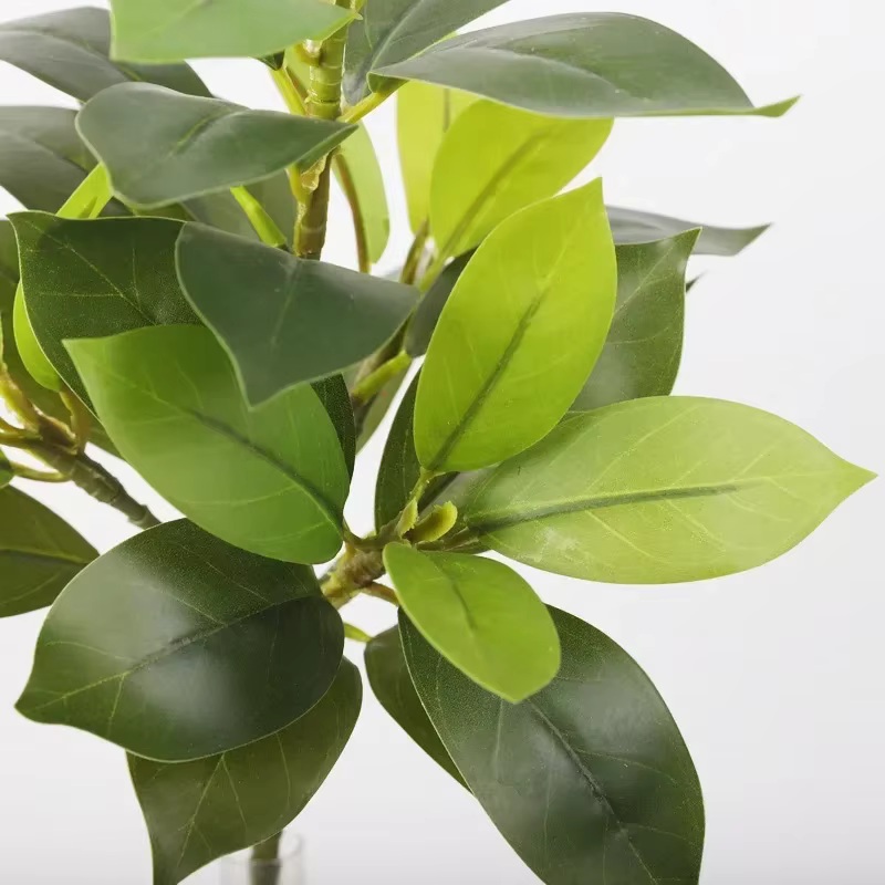 Plantes vertes en bois artificielles changeantes de documents