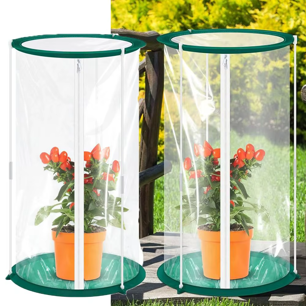 Mini serre coupe-vent en PVC transparent pour plante