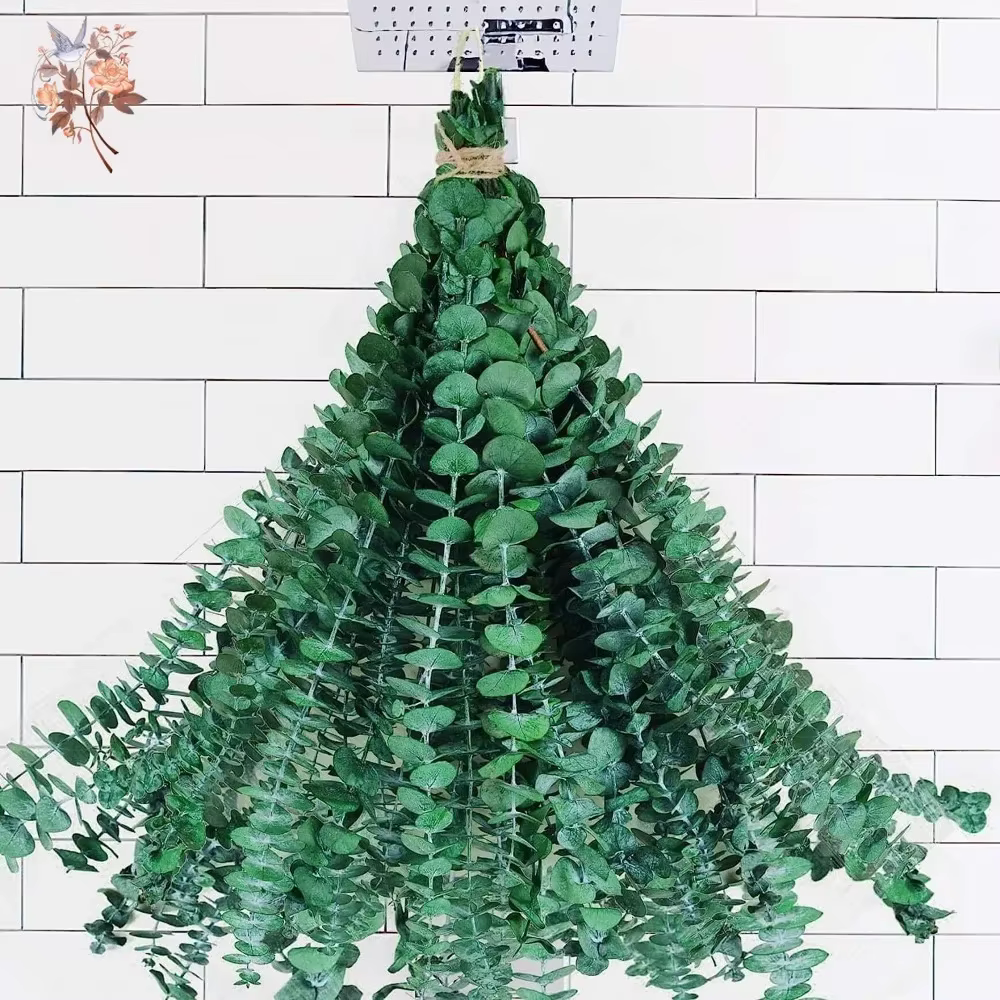 Feuilles d'eucalyptus naturelles séchées et conservées