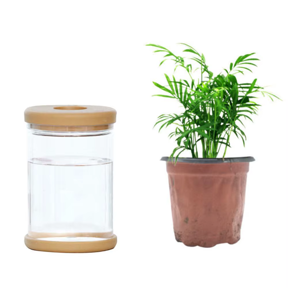 Vase hydroponique en plastique transparent pour la décoration de la maison