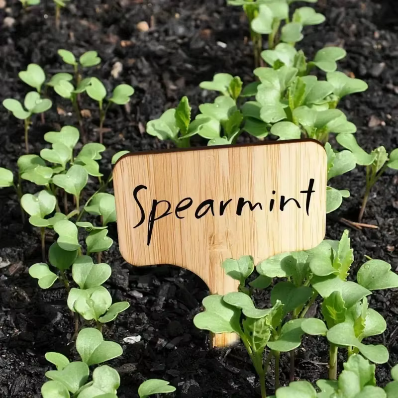 Étiquettes pour plantes
