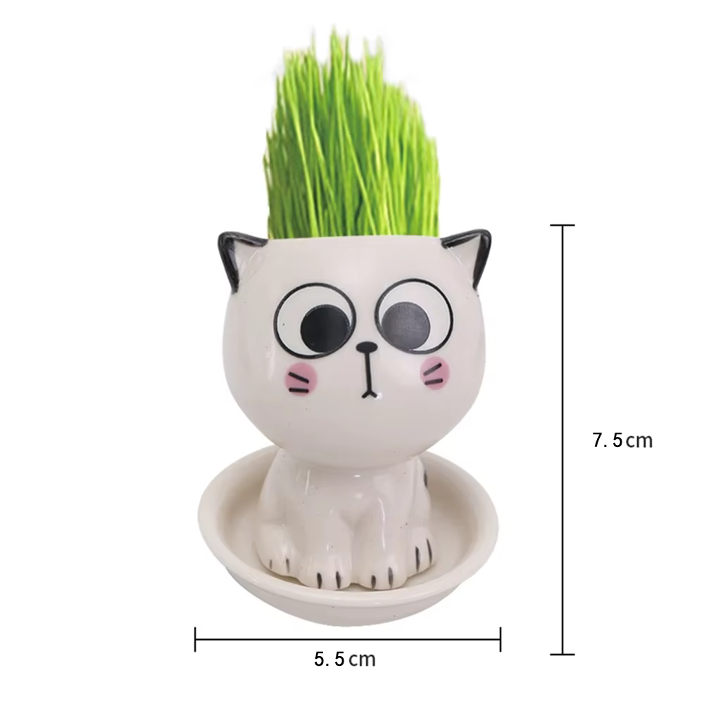 Mini Pot de Fleurs en Céramique en Forme de Chat