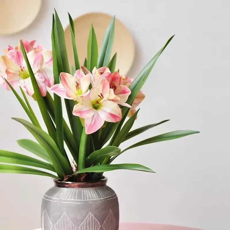 Feuilles de clivia artificielles plantes vertes
