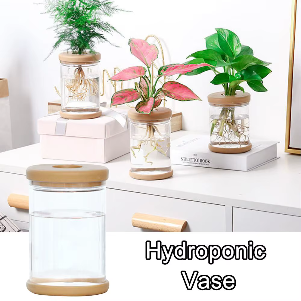 Vase hydroponique en plastique transparent pour la décoration de la maison