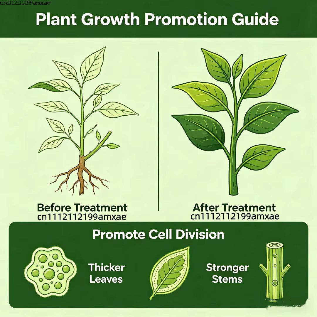 Poudre de Cytokinine 6-BA (6-Benzylaminopurine) Régulateur de Croissance Végétale pour Jardin et Ferme – Favorise la Division et la Germination