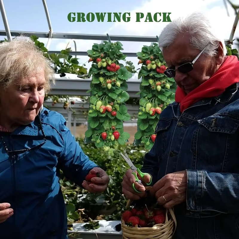 Sac de plantation de fraises suspendu, sac de culture de jardin PE dégradable, jardinière de fleurs et de légumes, décoration intérieure et extérieure, fournitures de jardin