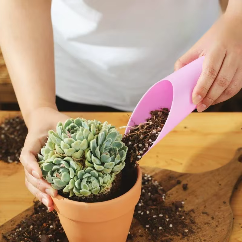 Tasses succulentes en plastique plantes vertes