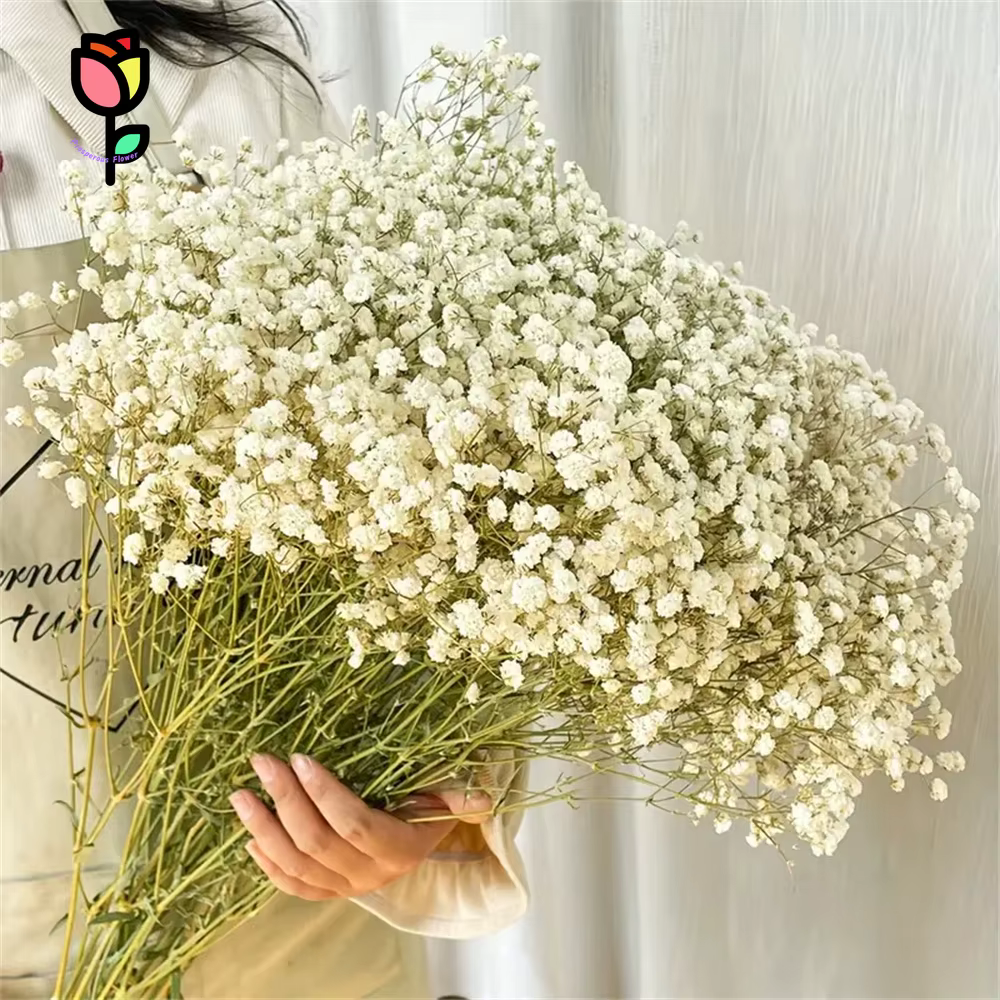 Bouquet de fleurs séchées pour bébé