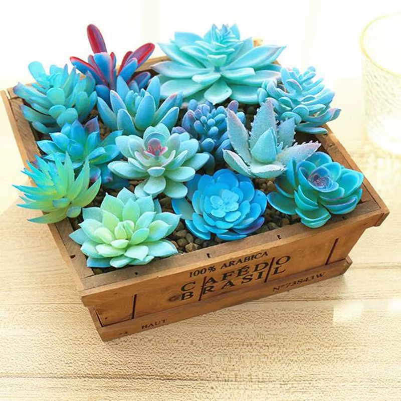 Plantes succulentes artificielles bleues