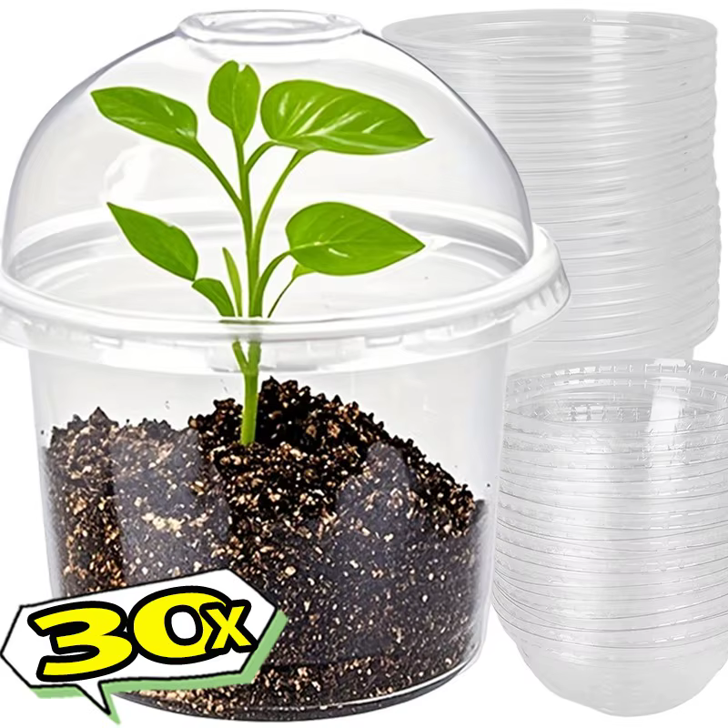 Pots de pépinière transparents avec couvercles