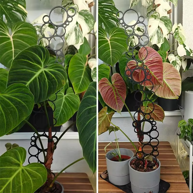 1 pièce Treillis métallique pour plantes grimpantes