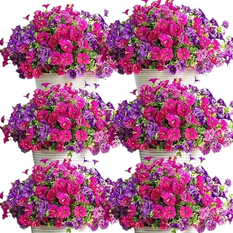 Fleurs artificielles, plante grimpante de type volubilis