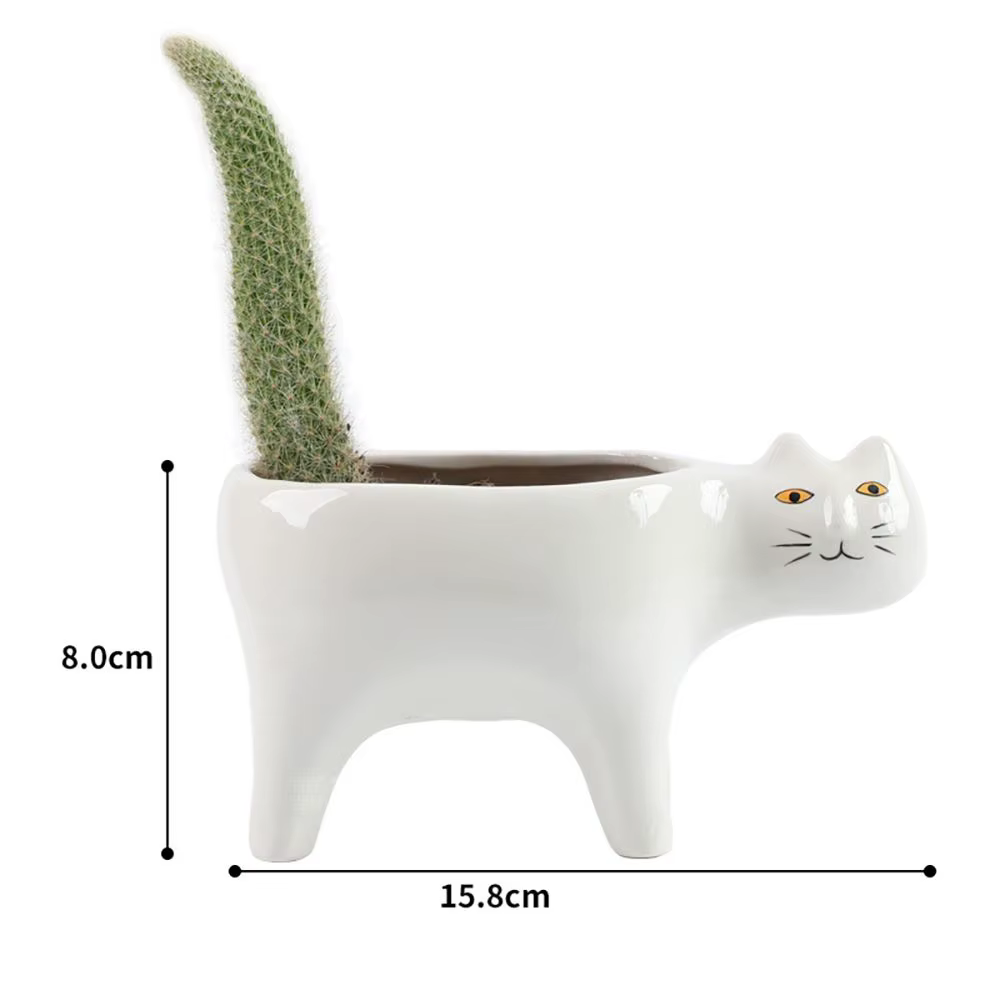 Pot de plantes Cactus en céramique
