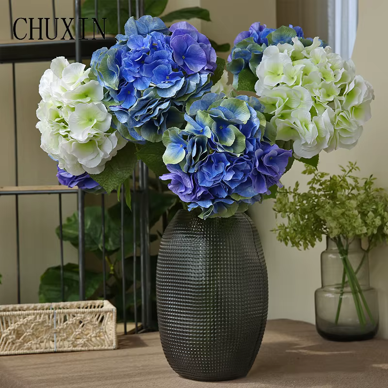 Grandes fleurs d'hortensia hydratantes au toucher