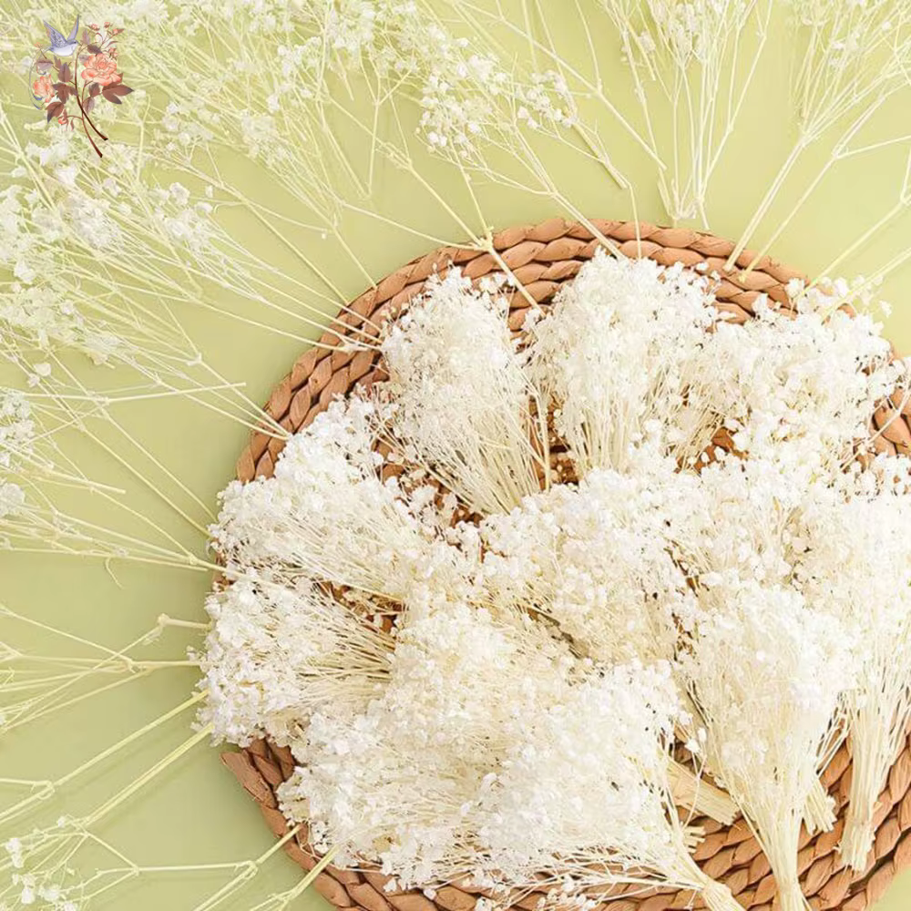 Mini-bouquet de 50 petites fleurs séchées de gypsophile blanches en vrac pour décoration rustique de maison