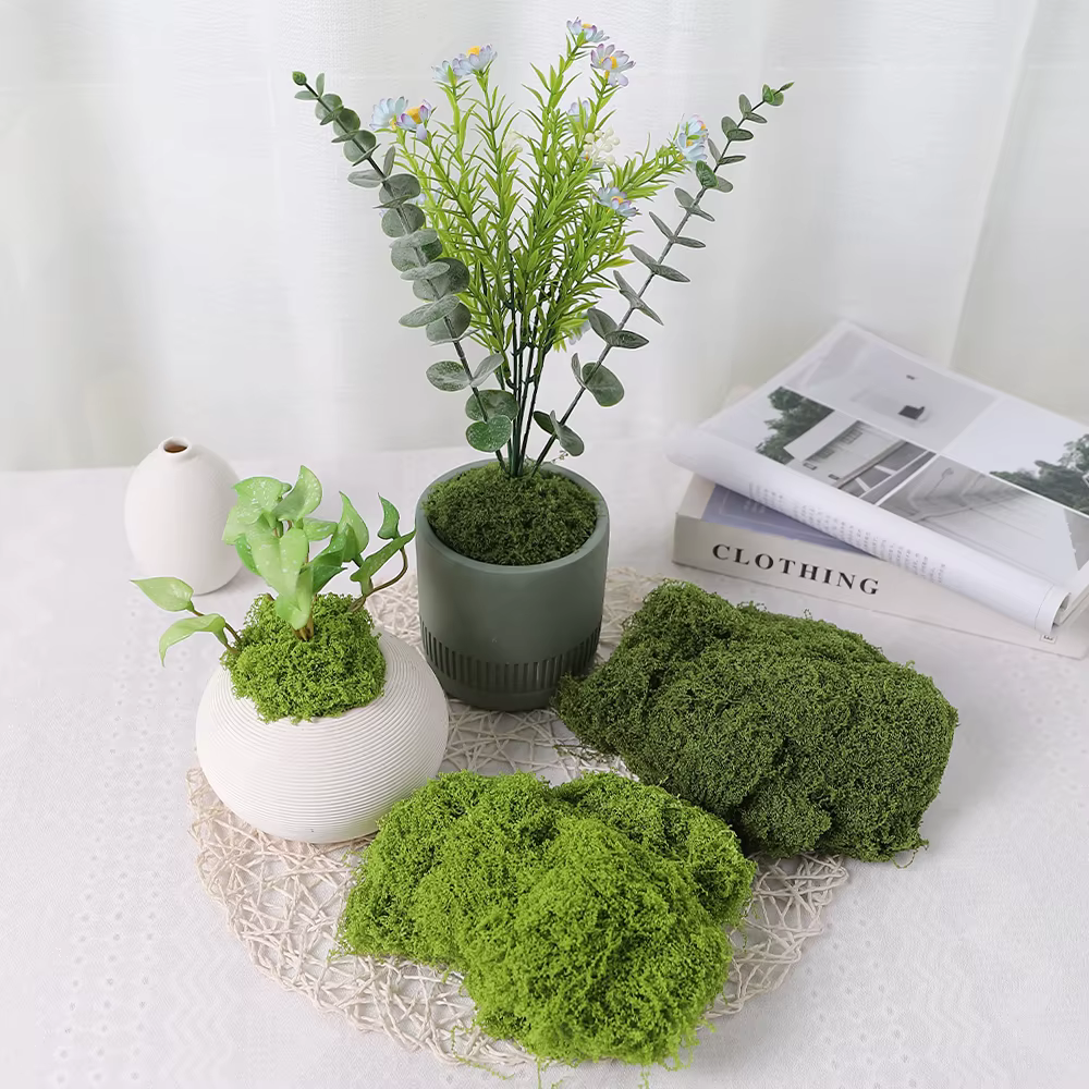 30/50/100g plantes vertes artificielles mousse herbe maison salon jardin décoration Mini paysage fausse fleur bricolage artisanat
