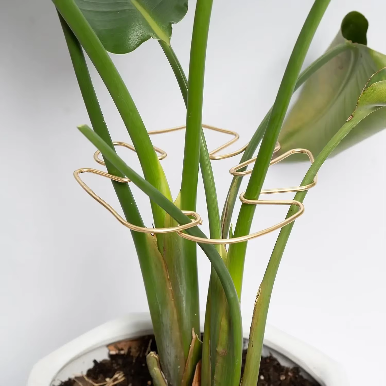 Poteau de support de plante en forme de Monstera