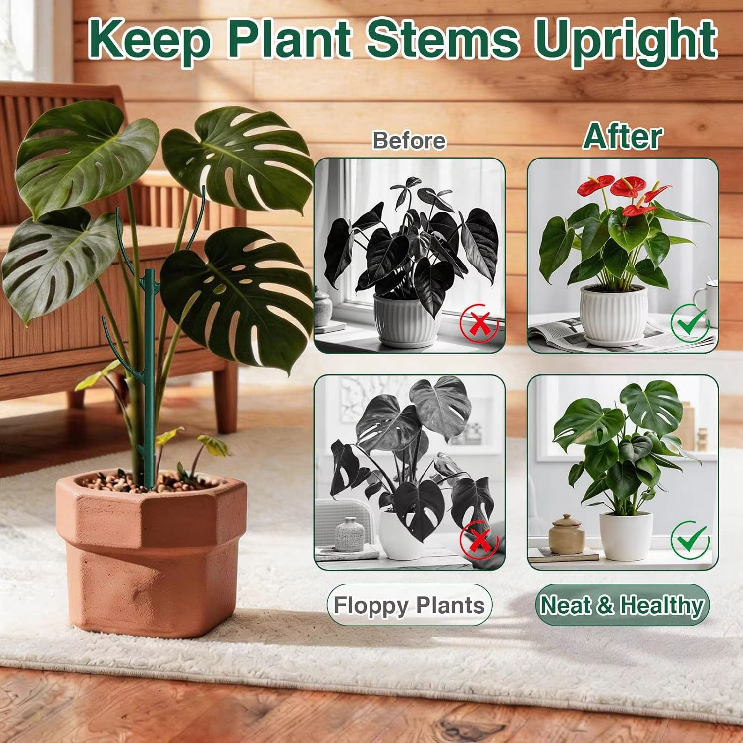 Supports de plantes empilables pour Monstera