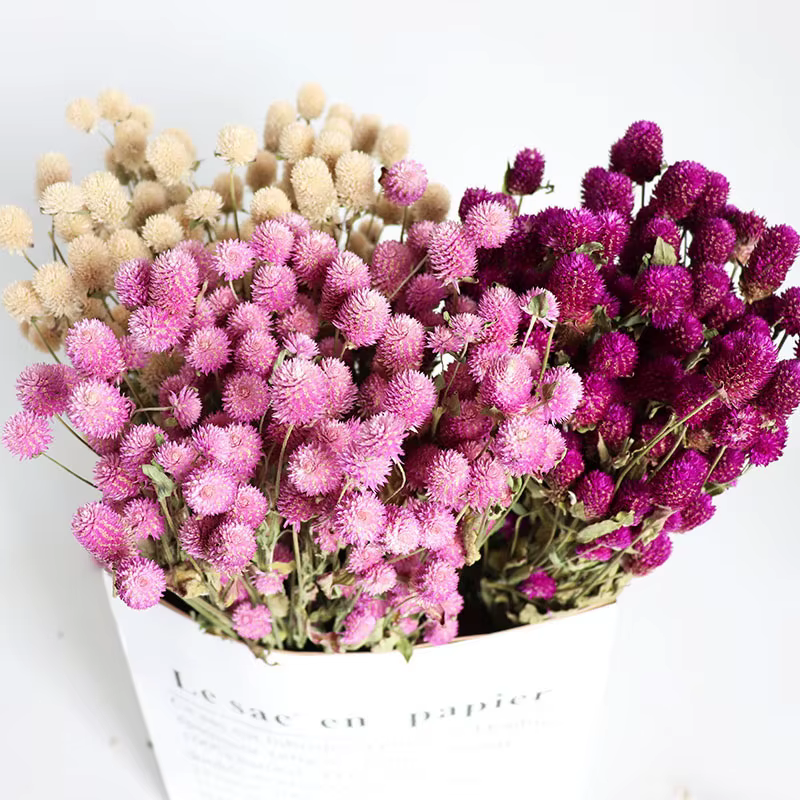 Bouquet de fleurs séchées d'amarante
