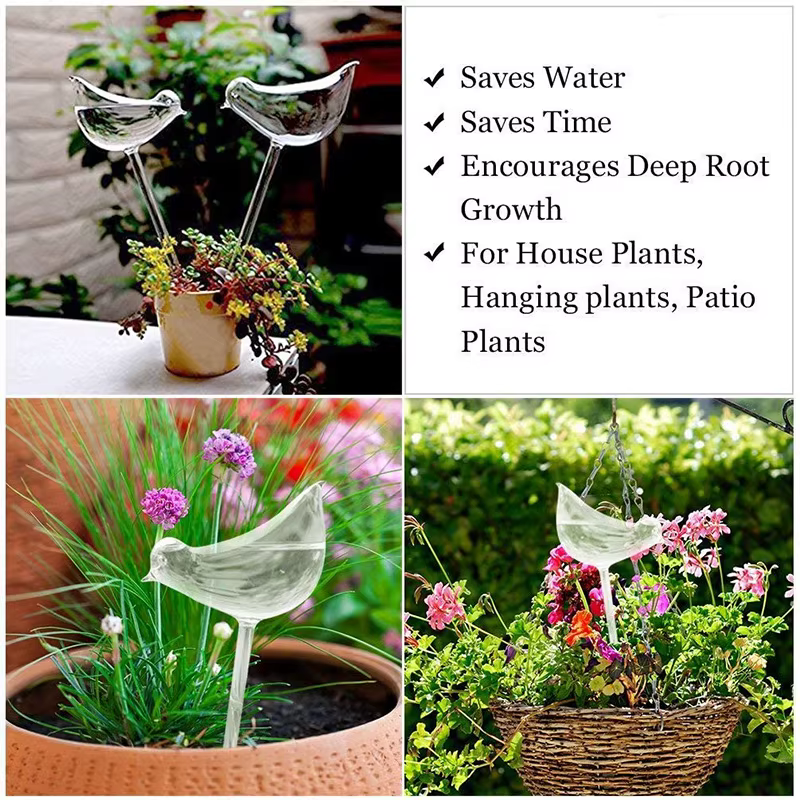 Ampoules d'arrosage automatique pour plantes