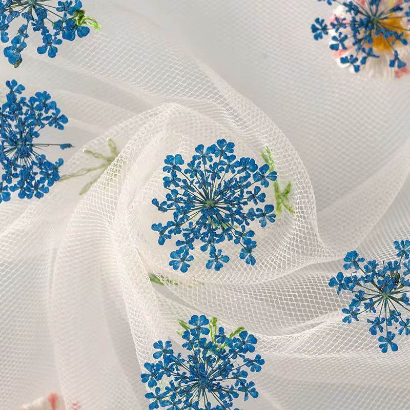 Fleur Ammi Majus séchée et pressée naturelle
