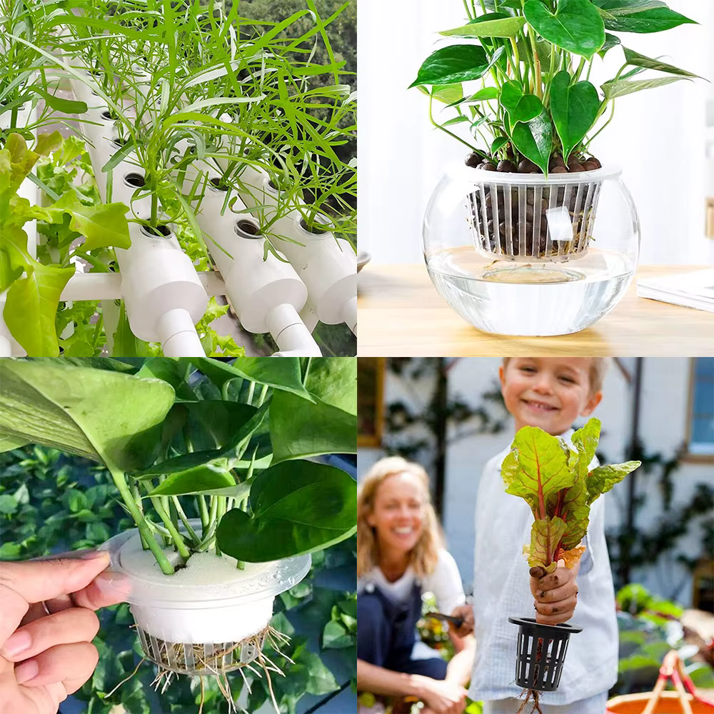 Panier hydroponique, 10 pièces, conteneurs pour plantes, pots de culture, de haute qualité, forme ronde, coupelles en filet robustes, fournitures pour la maison, intérieur et extérieur